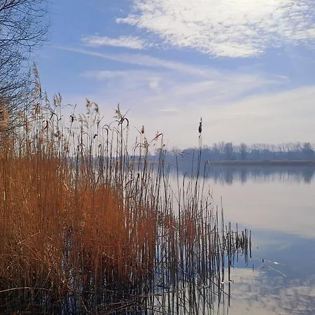 Apartman Bazylek, Miejsce Parkingowe W Garazu Podziemnym *